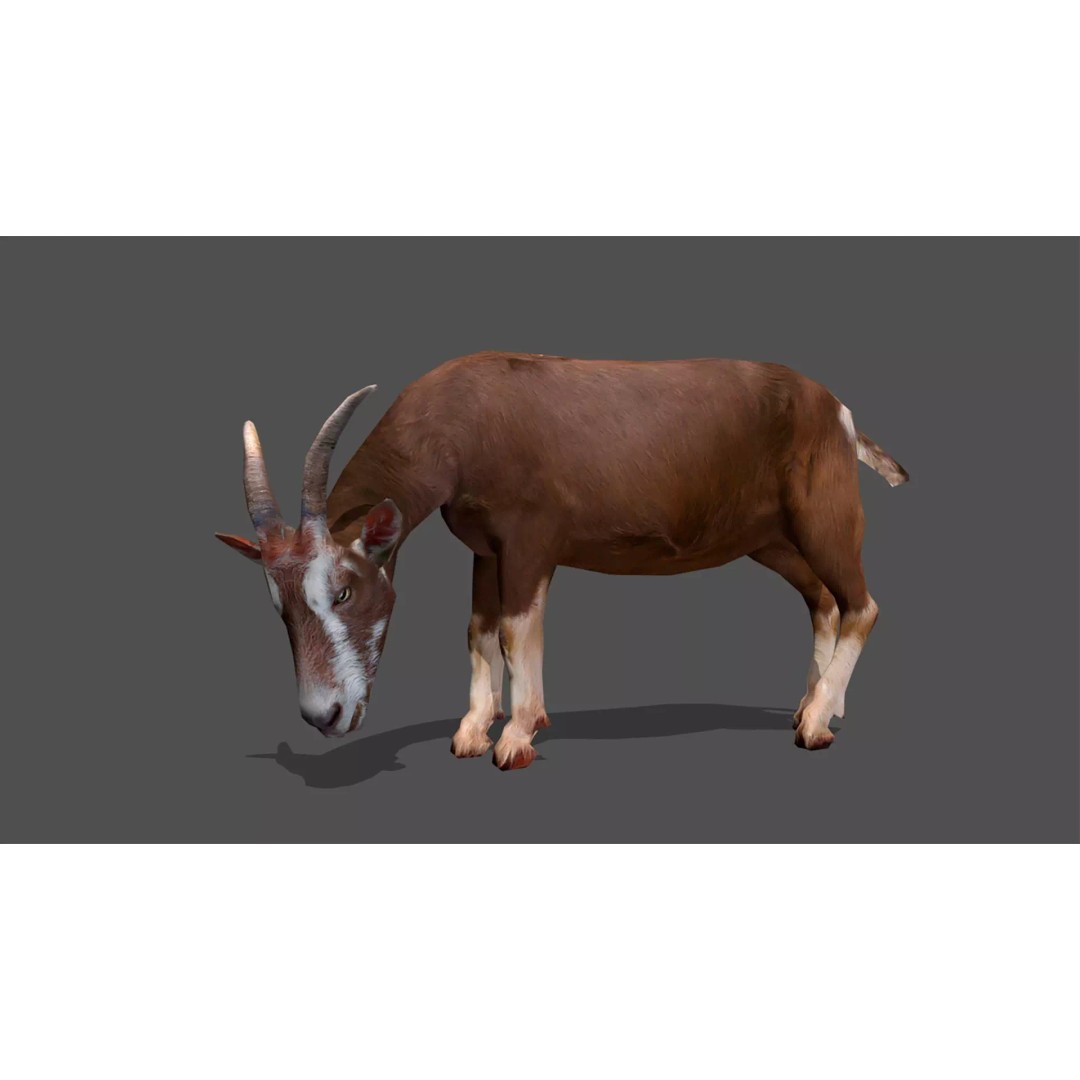 Ultimate Animal Mega Bundle 3D Model – Low Poly Rigged Animals, FBX, Blender - View 29