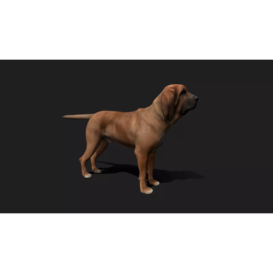 Ultimate Animal Mega Bundle 3D Model – Low Poly Rigged Animals, FBX, Blender - View 32