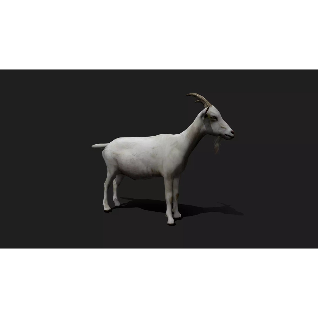 Ultimate Animal Mega Bundle 3D Model – Low Poly Rigged Animals, FBX, Blender - View 33