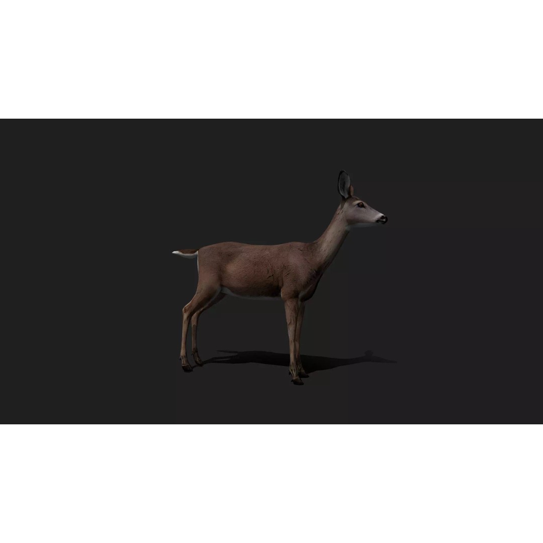 Ultimate Animal Mega Bundle 3D Model – Low Poly Rigged Animals, FBX, Blender - View 35
