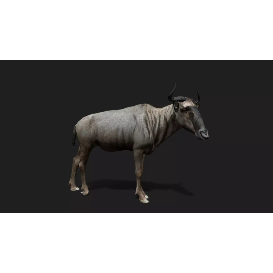 Ultimate Animal Mega Bundle 3D Model – Low Poly Rigged Animals, FBX, Blender - View 36