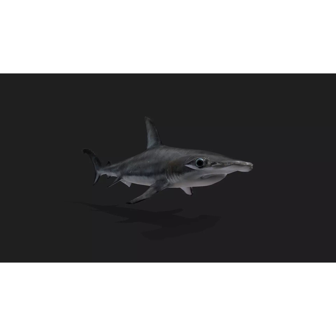 Ultimate Animal Mega Bundle 3D Model – Low Poly Rigged Animals, FBX, Blender - View 38