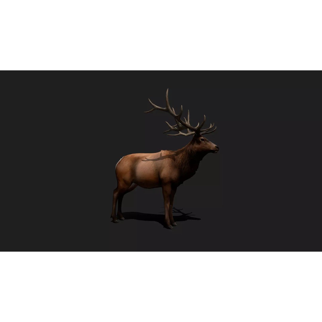 Ultimate Animal Mega Bundle 3D Model – Low Poly Rigged Animals, FBX, Blender - View 39