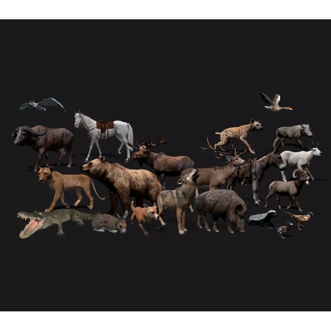 Ultimate Animal Mega Bundle 3D Model – Low Poly Rigged Animals, FBX, Blender - View 4