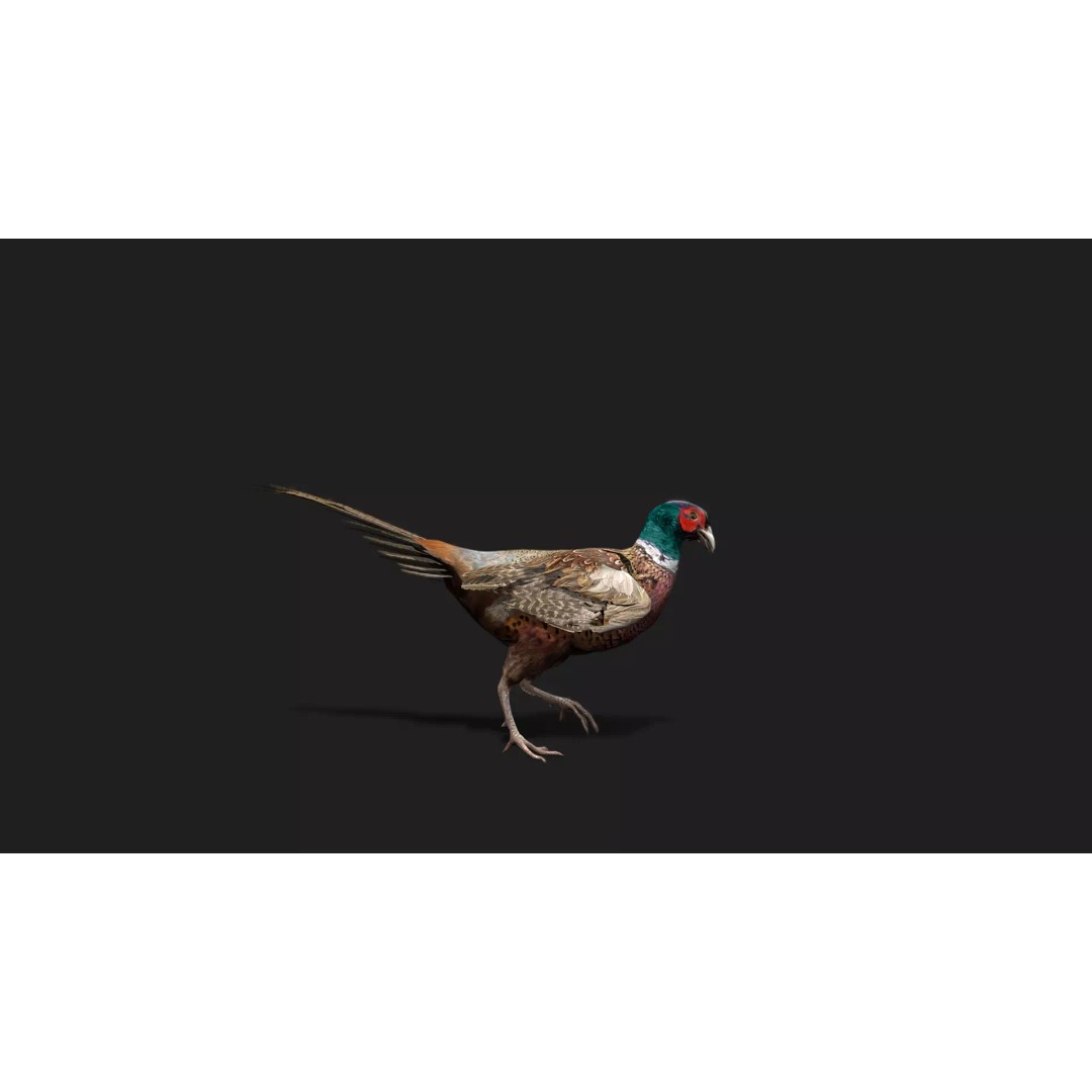 Ultimate Animal Mega Bundle 3D Model – Low Poly Rigged Animals, FBX, Blender - View 40
