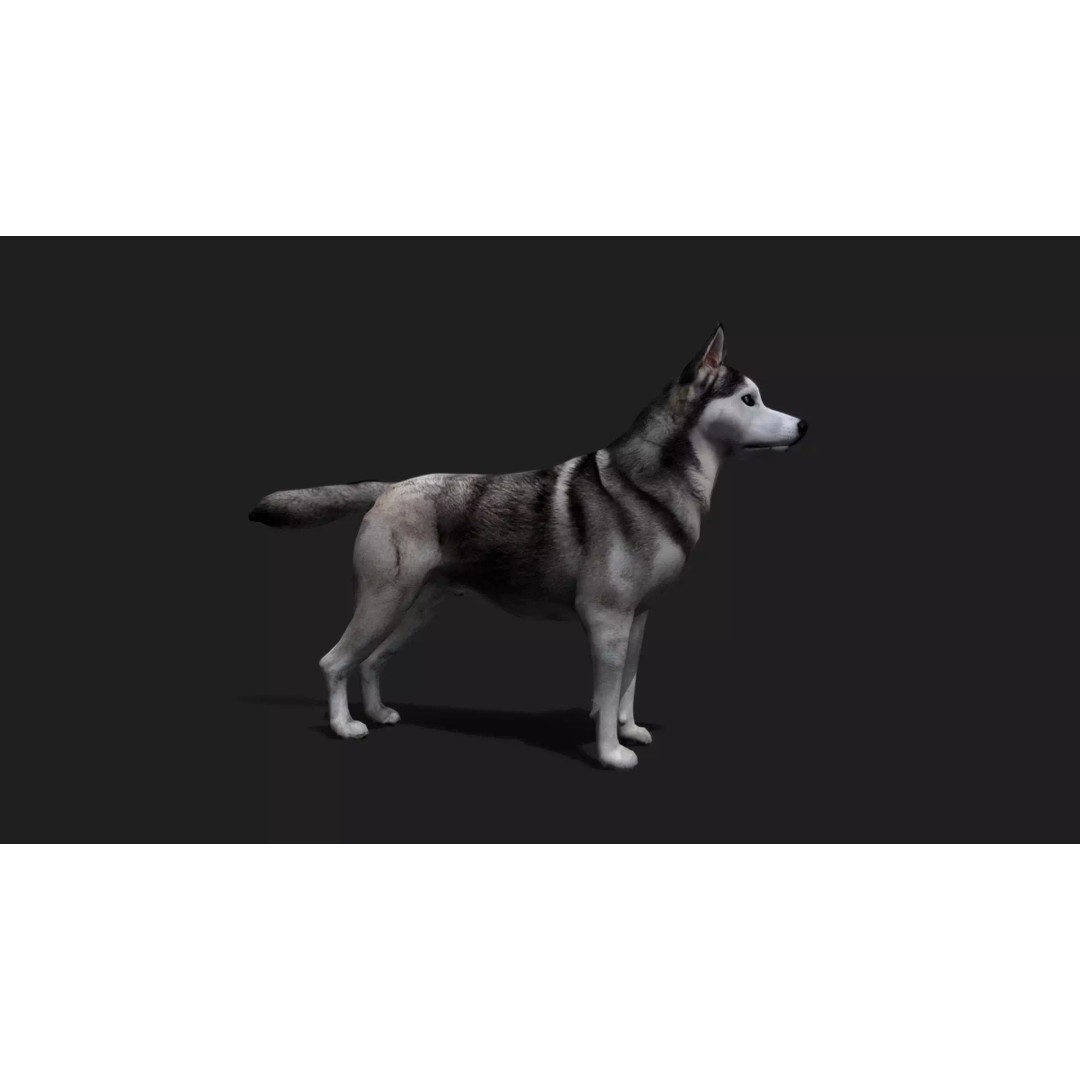 Ultimate Animal Mega Bundle 3D Model – Low Poly Rigged Animals, FBX, Blender - View 41