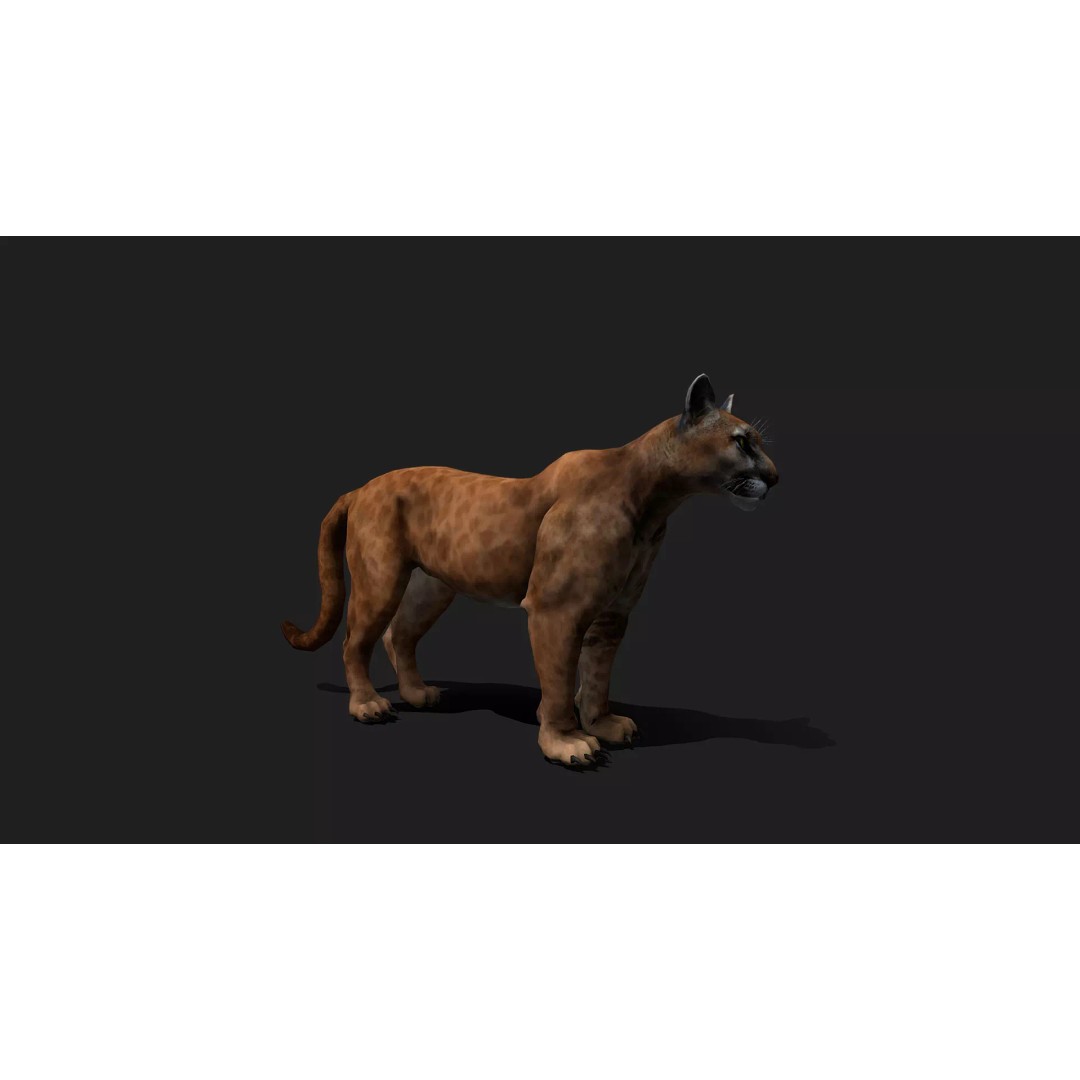 Ultimate Animal Mega Bundle 3D Model – Low Poly Rigged Animals, FBX, Blender - View 42