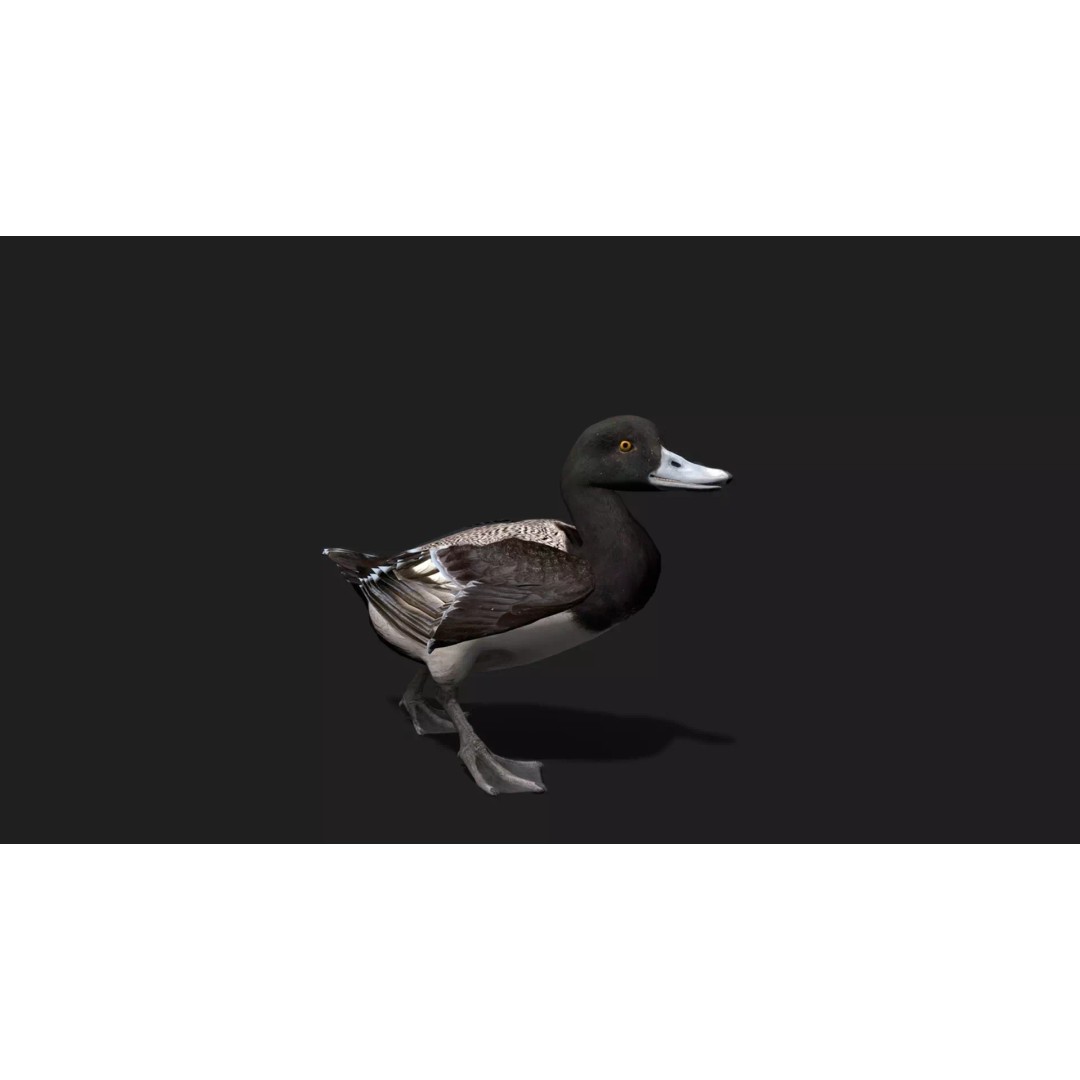 Ultimate Animal Mega Bundle 3D Model – Low Poly Rigged Animals, FBX, Blender - View 43