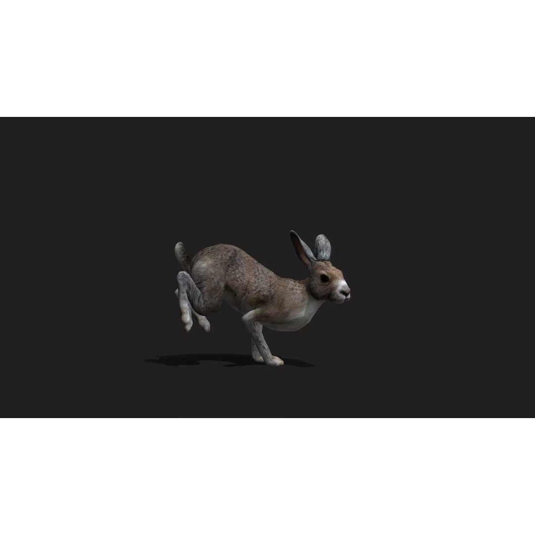 Ultimate Animal Mega Bundle 3D Model – Low Poly Rigged Animals, FBX, Blender - View 45