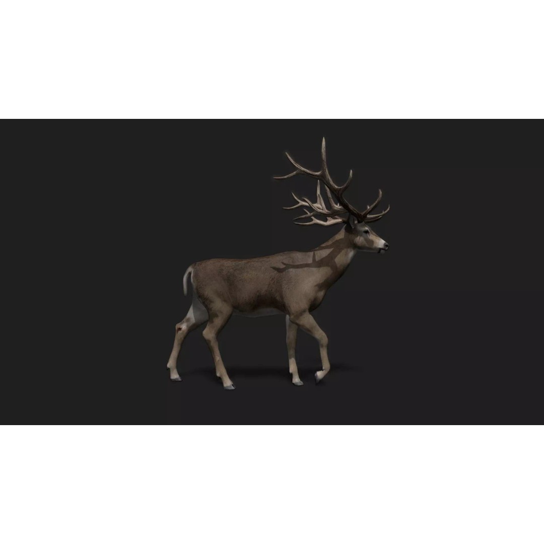 Ultimate Animal Mega Bundle 3D Model – Low Poly Rigged Animals, FBX, Blender - View 46