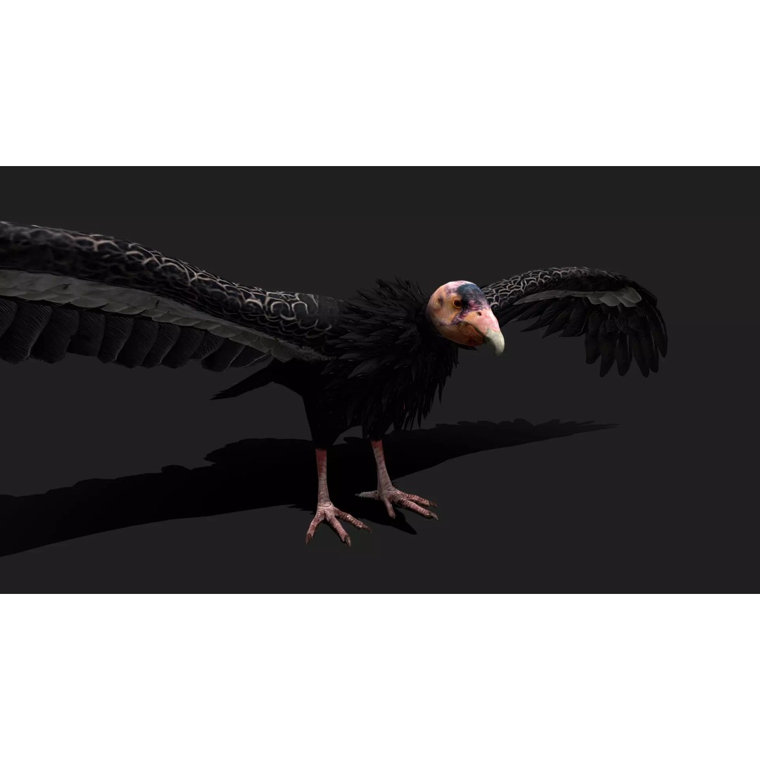 Ultimate Animal Mega Bundle 3D Model – Low Poly Rigged Animals, FBX, Blender - View 47