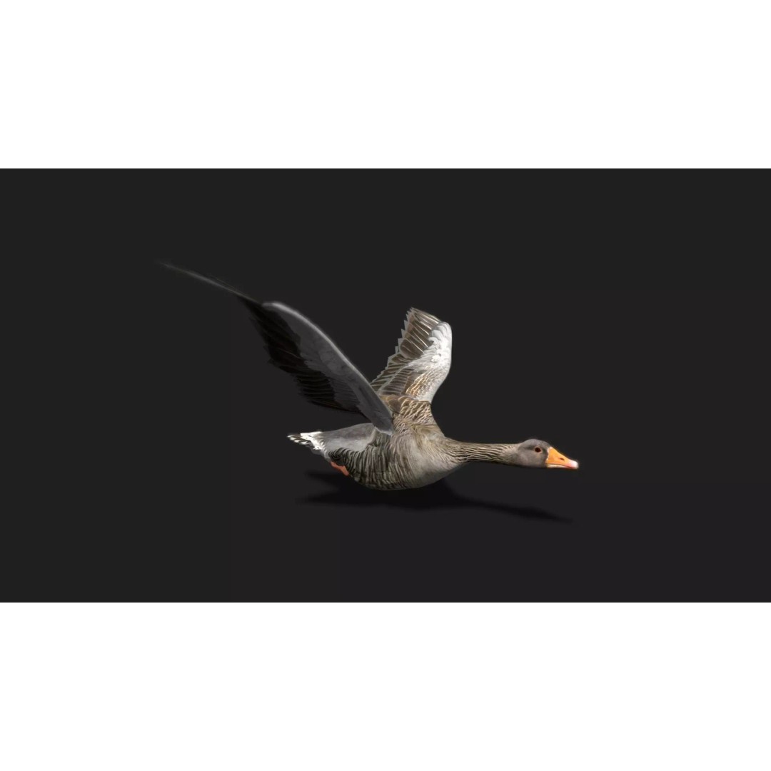 Ultimate Animal Mega Bundle 3D Model – Low Poly Rigged Animals, FBX, Blender - View 48