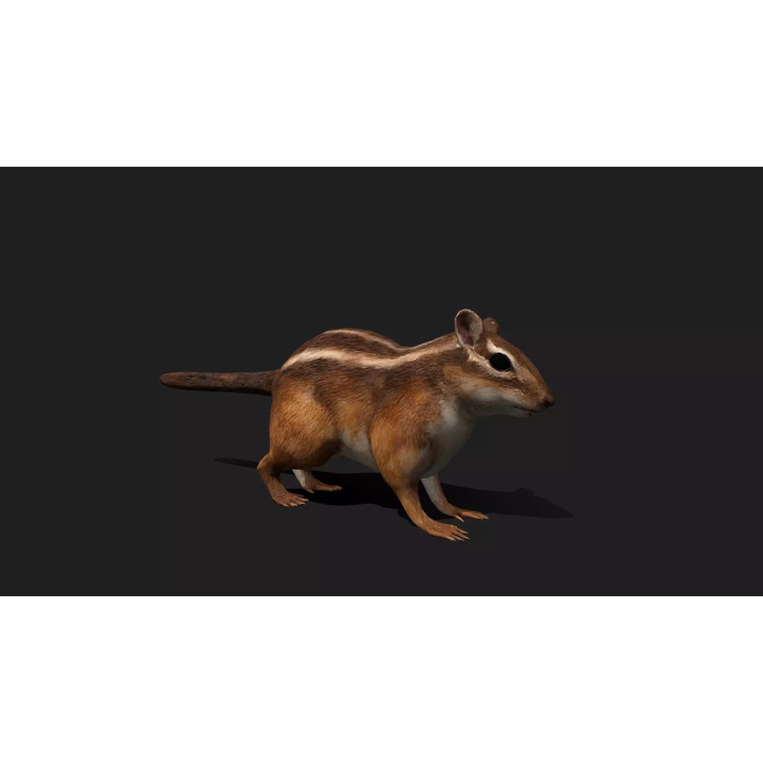 Ultimate Animal Mega Bundle 3D Model – Low Poly Rigged Animals, FBX, Blender - View 49