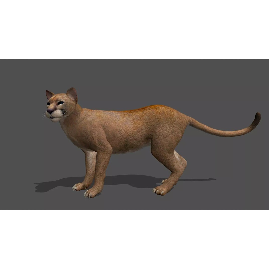 Ultimate Animal Mega Bundle 3D Model – Low Poly Rigged Animals, FBX, Blender - View 5