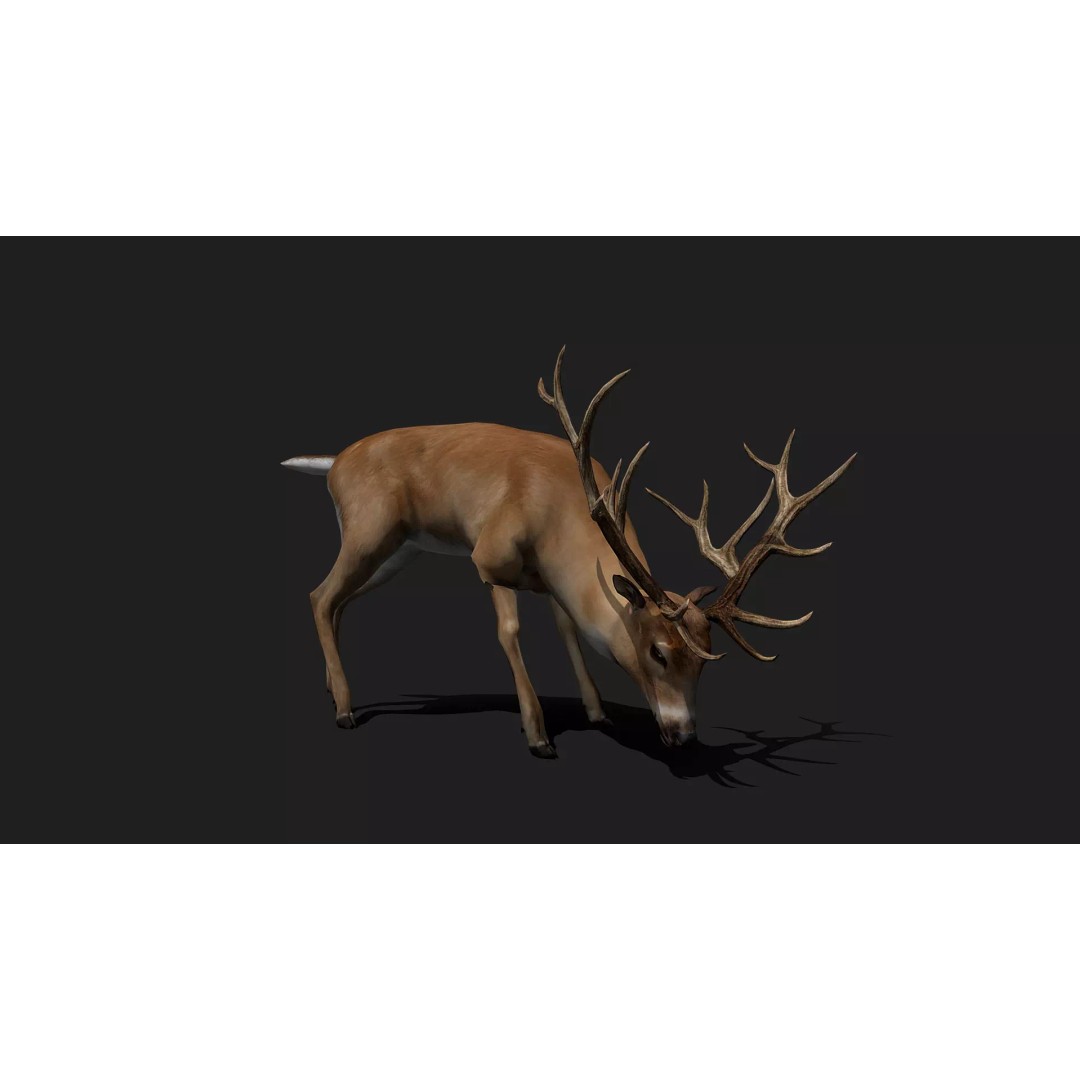 Ultimate Animal Mega Bundle 3D Model – Low Poly Rigged Animals, FBX, Blender - View 50