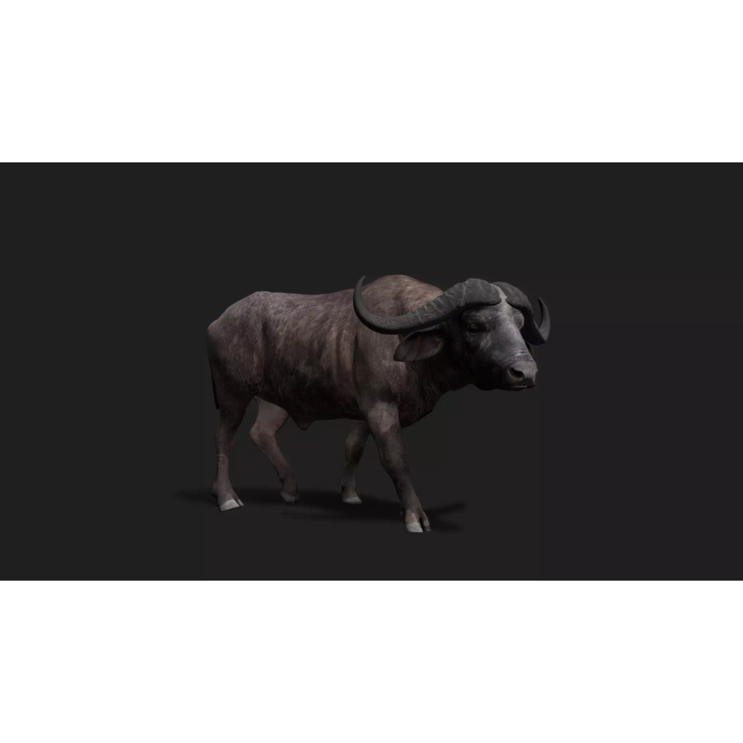 Ultimate Animal Mega Bundle 3D Model – Low Poly Rigged Animals, FBX, Blender - View 51