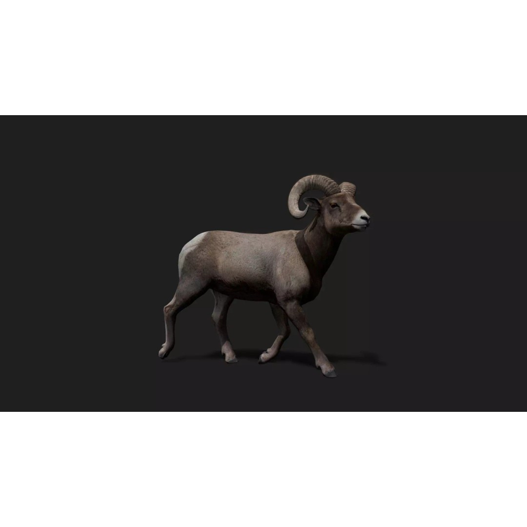 Ultimate Animal Mega Bundle 3D Model – Low Poly Rigged Animals, FBX, Blender - View 52