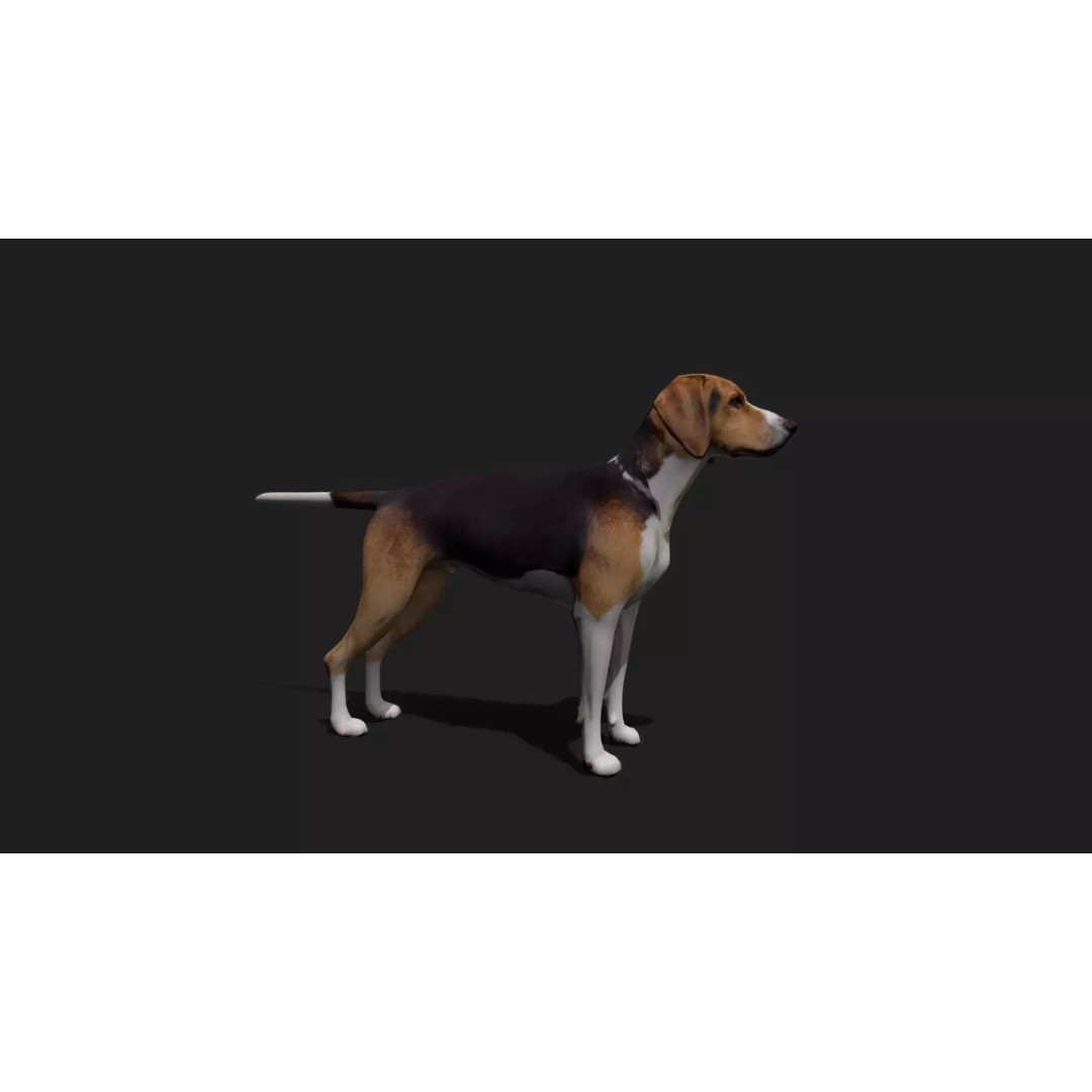 Ultimate Animal Mega Bundle 3D Model – Low Poly Rigged Animals, FBX, Blender - View 53