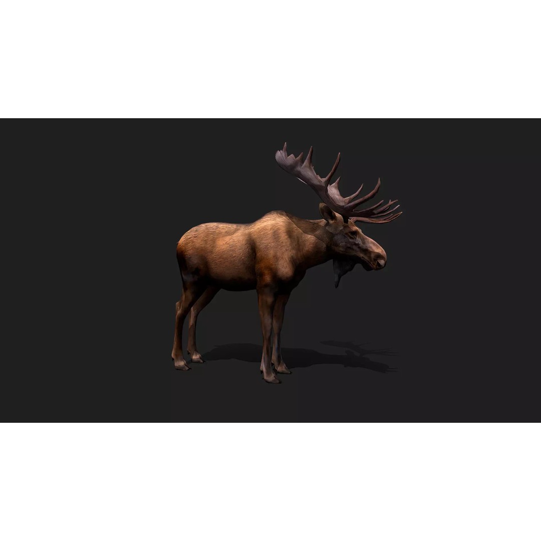 Ultimate Animal Mega Bundle 3D Model – Low Poly Rigged Animals, FBX, Blender - View 54