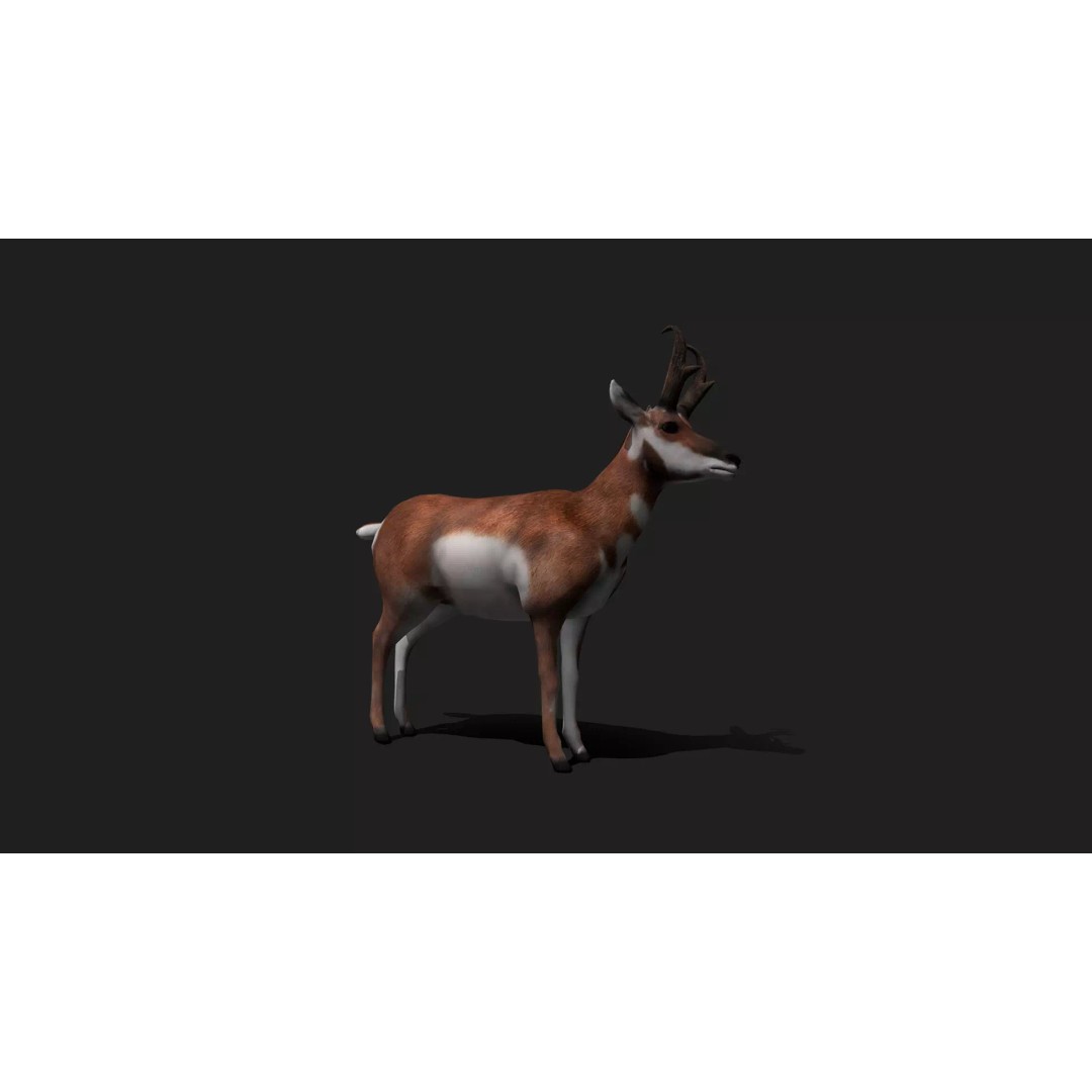 Ultimate Animal Mega Bundle 3D Model – Low Poly Rigged Animals, FBX, Blender - View 55