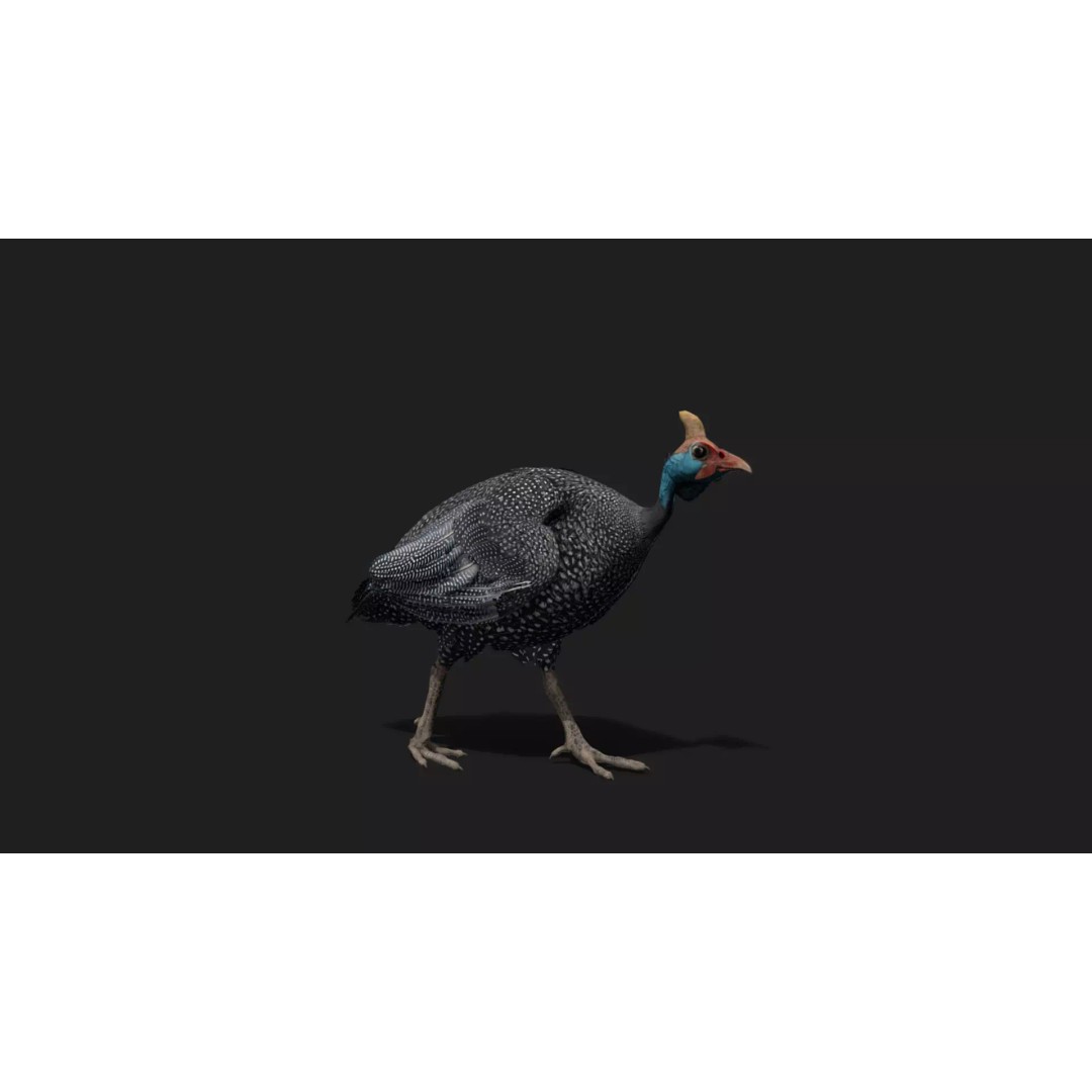 Ultimate Animal Mega Bundle 3D Model – Low Poly Rigged Animals, FBX, Blender - View 56