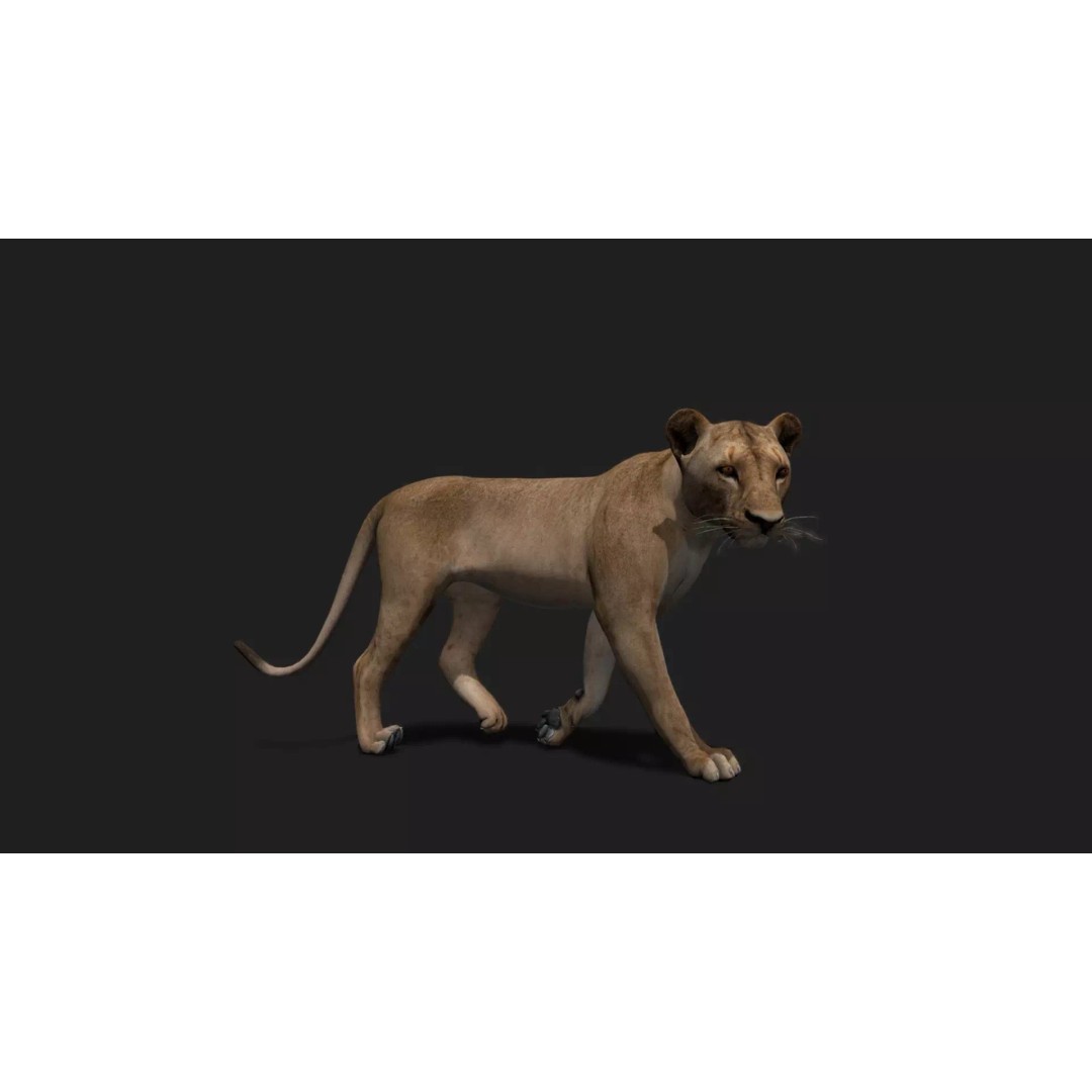 Ultimate Animal Mega Bundle 3D Model – Low Poly Rigged Animals, FBX, Blender - View 57