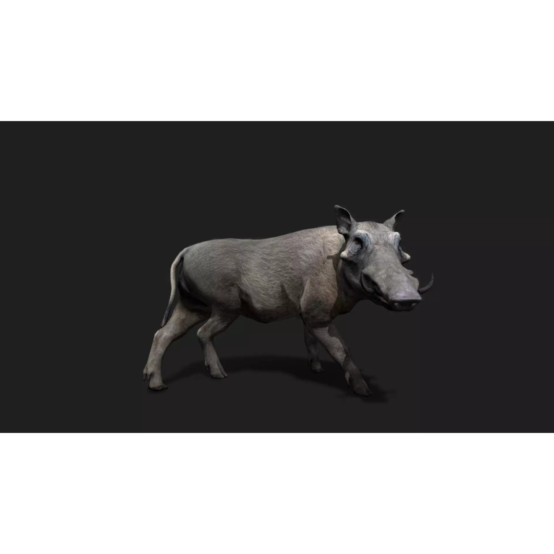 Ultimate Animal Mega Bundle 3D Model – Low Poly Rigged Animals, FBX, Blender - View 58