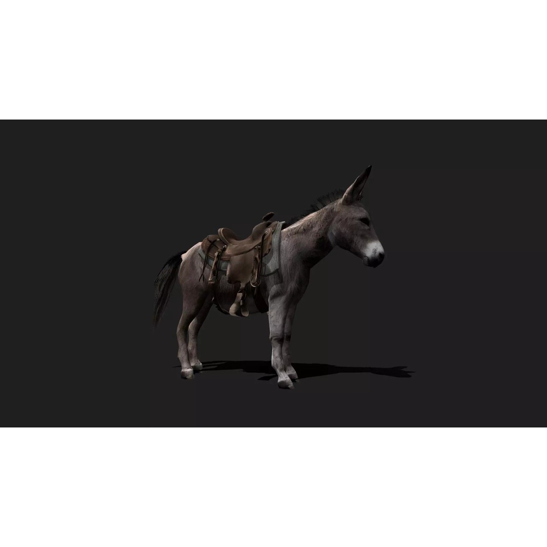 Ultimate Animal Mega Bundle 3D Model – Low Poly Rigged Animals, FBX, Blender - View 60