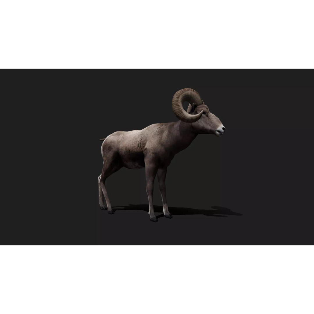 Ultimate Animal Mega Bundle 3D Model – Low Poly Rigged Animals, FBX, Blender - View 61