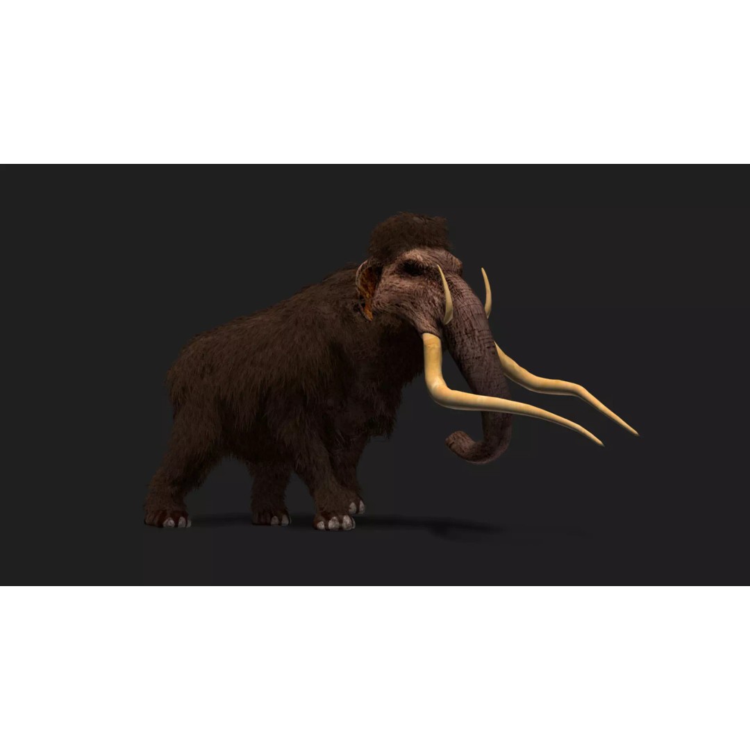 Ultimate Animal Mega Bundle 3D Model – Low Poly Rigged Animals, FBX, Blender - View 63