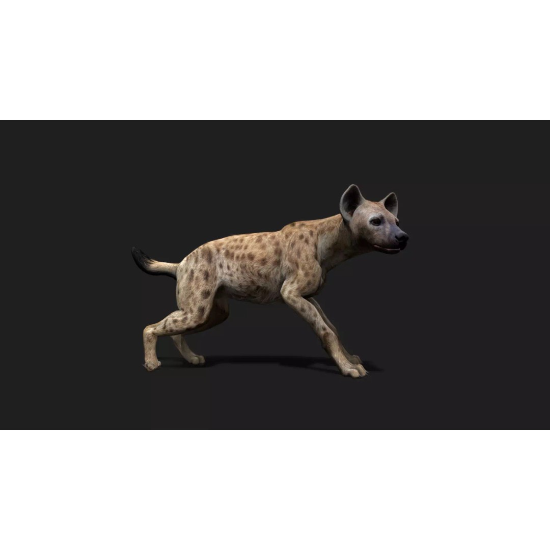 Ultimate Animal Mega Bundle 3D Model – Low Poly Rigged Animals, FBX, Blender - View 64