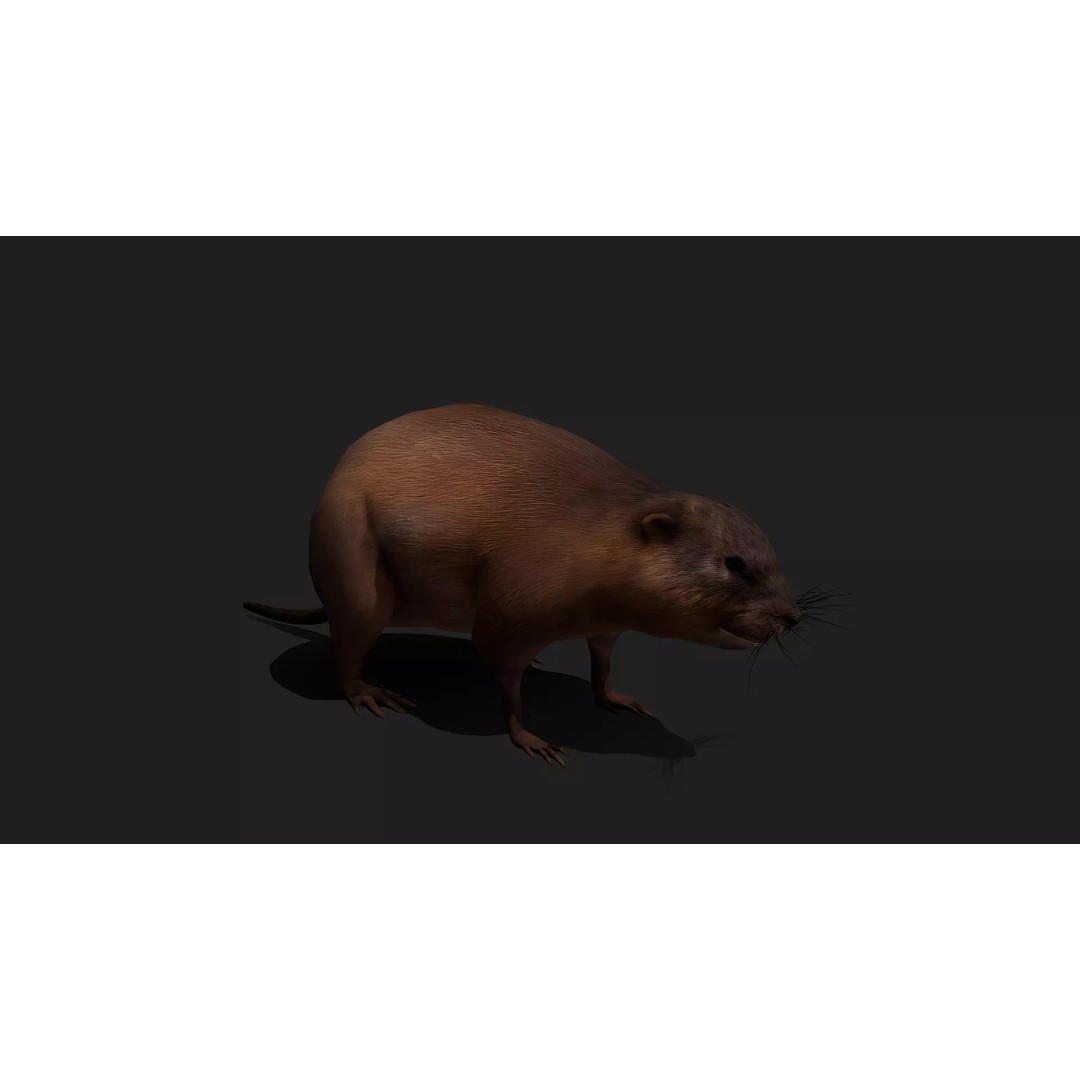 Ultimate Animal Mega Bundle 3D Model – Low Poly Rigged Animals, FBX, Blender - View 66