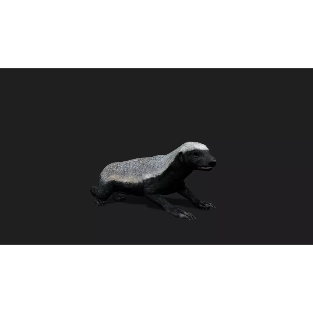 Ultimate Animal Mega Bundle 3D Model – Low Poly Rigged Animals, FBX, Blender - View 67
