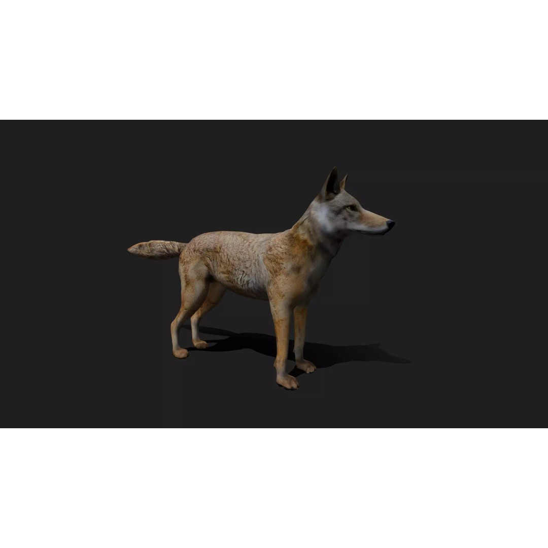 Ultimate Animal Mega Bundle 3D Model – Low Poly Rigged Animals, FBX, Blender - View 68