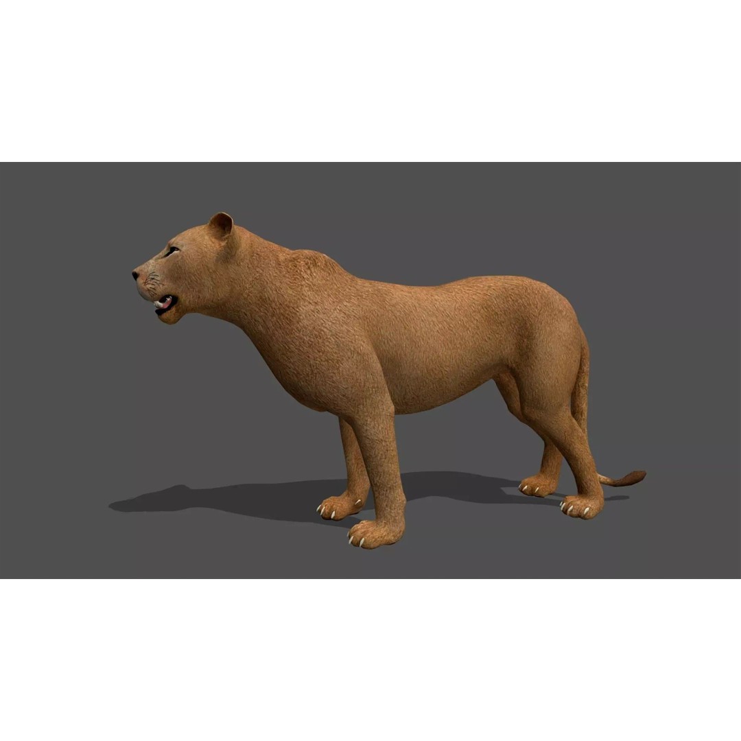 Ultimate Animal Mega Bundle 3D Model – Low Poly Rigged Animals, FBX, Blender - View 7