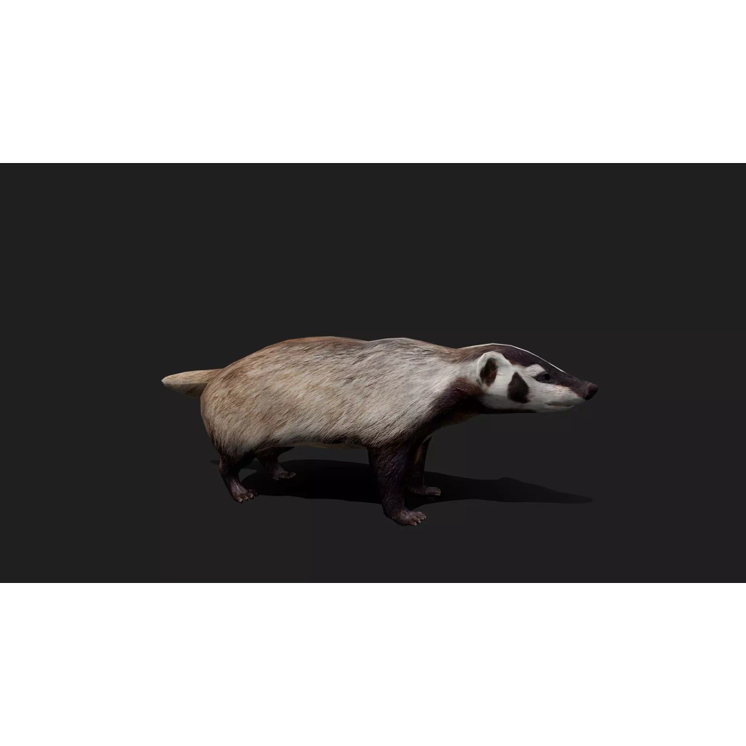 Ultimate Animal Mega Bundle 3D Model – Low Poly Rigged Animals, FBX, Blender - View 70