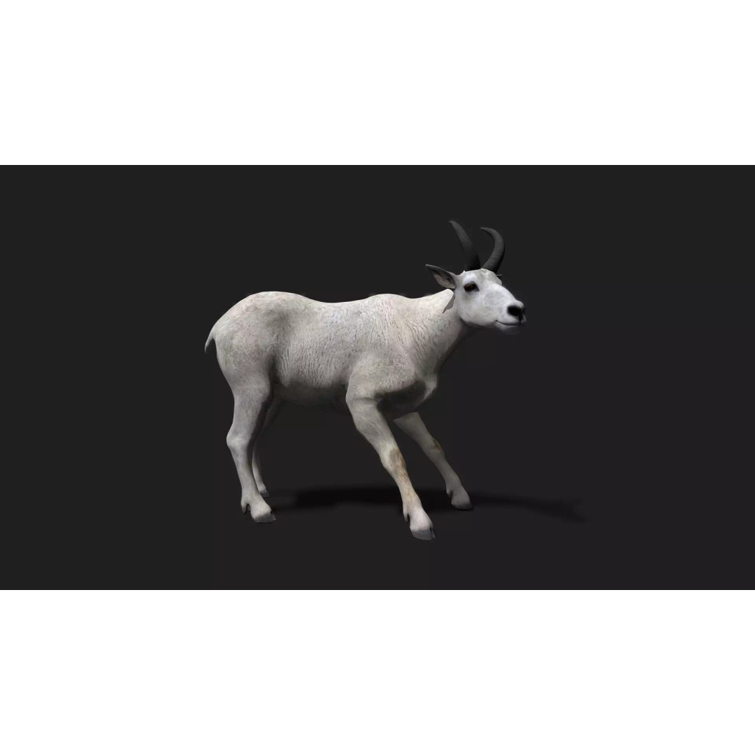 Ultimate Animal Mega Bundle 3D Model – Low Poly Rigged Animals, FBX, Blender - View 72