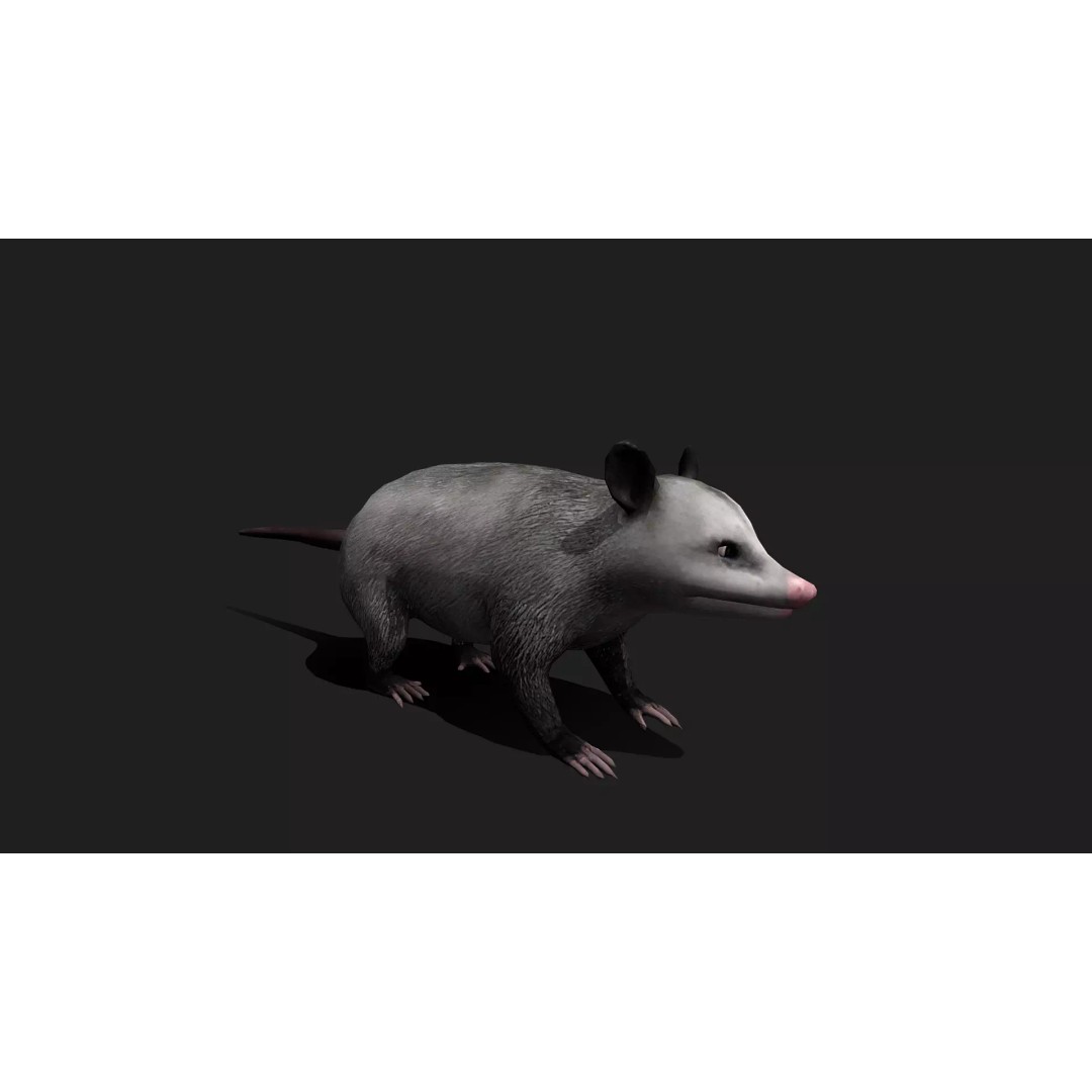 Ultimate Animal Mega Bundle 3D Model – Low Poly Rigged Animals, FBX, Blender - View 74