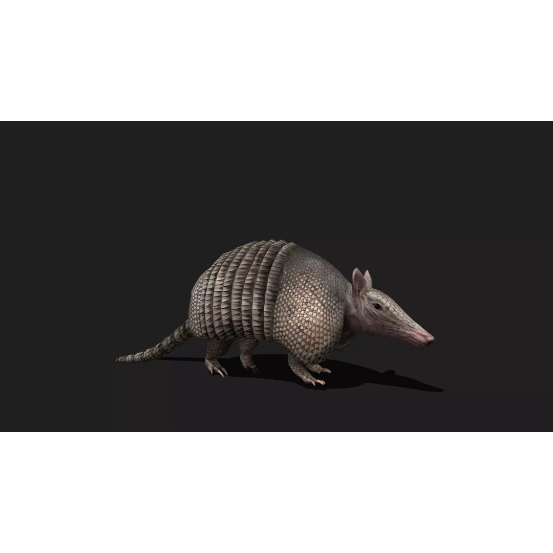 Ultimate Animal Mega Bundle 3D Model – Low Poly Rigged Animals, FBX, Blender - View 75