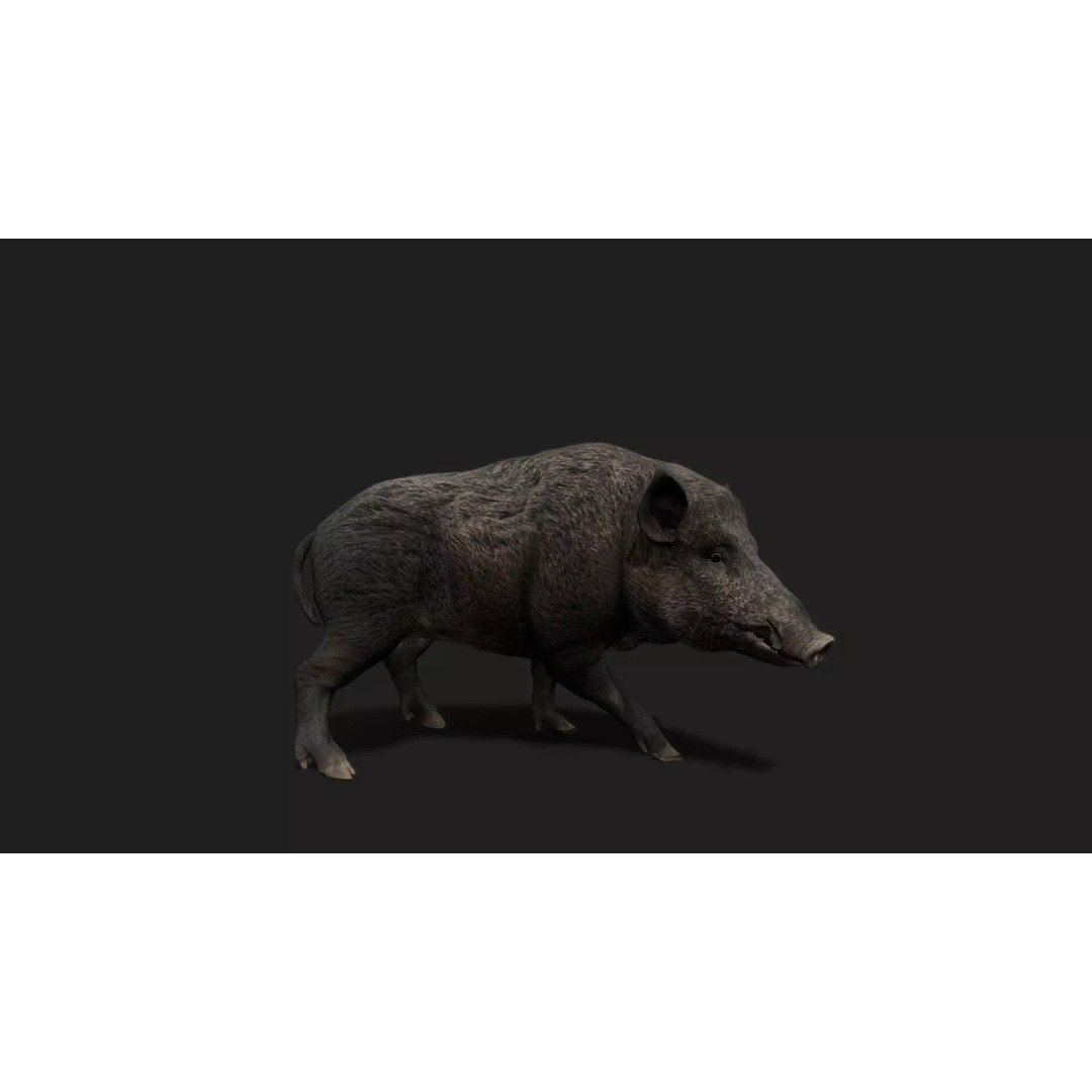 Ultimate Animal Mega Bundle 3D Model – Low Poly Rigged Animals, FBX, Blender - View 76