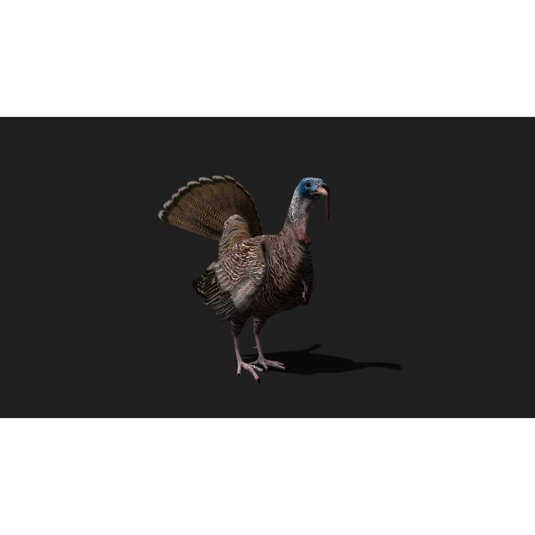Ultimate Animal Mega Bundle 3D Model – Low Poly Rigged Animals, FBX, Blender - View 79