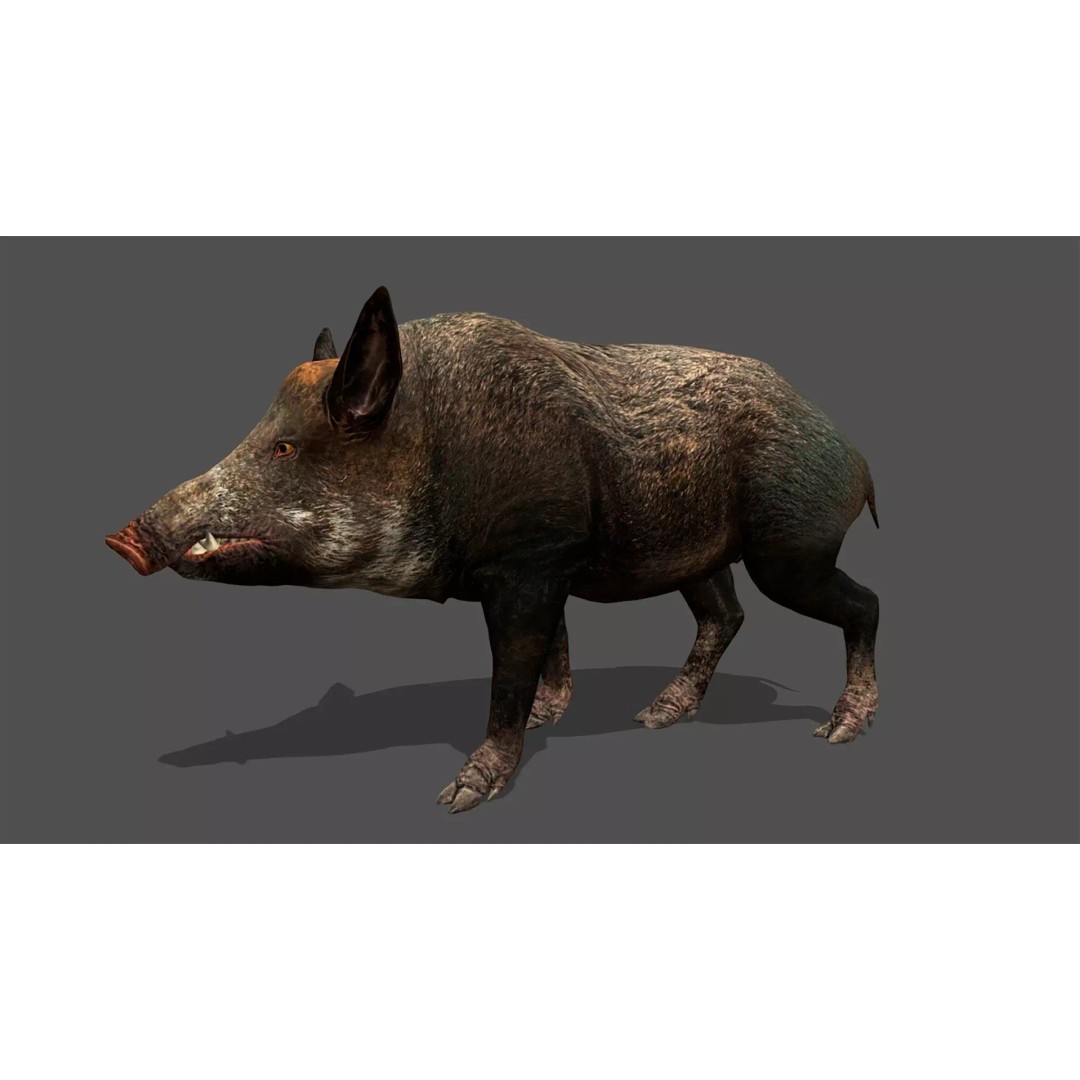 Ultimate Animal Mega Bundle 3D Model – Low Poly Rigged Animals, FBX, Blender - View 8