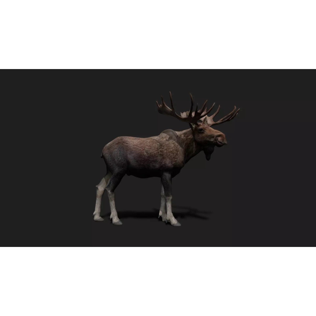 Ultimate Animal Mega Bundle 3D Model – Low Poly Rigged Animals, FBX, Blender - View 80