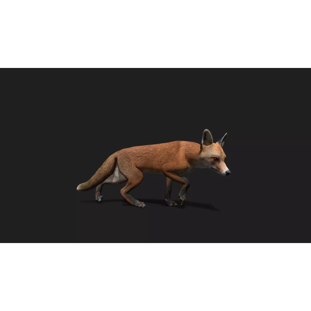 Ultimate Animal Mega Bundle 3D Model – Low Poly Rigged Animals, FBX, Blender - View 81