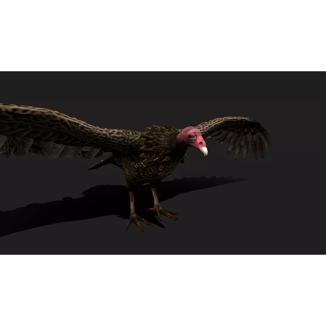 Ultimate Animal Mega Bundle 3D Model – Low Poly Rigged Animals, FBX, Blender - View 82