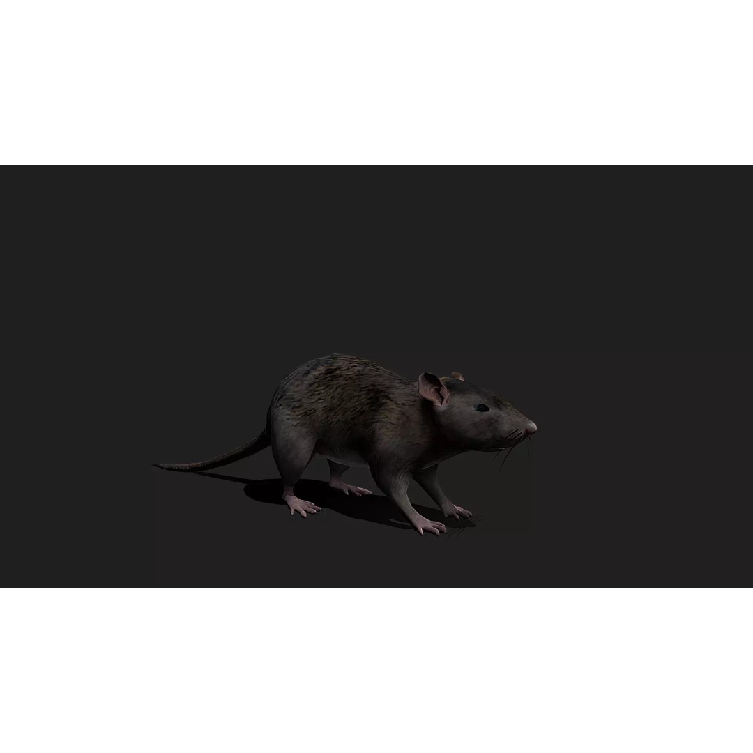 Ultimate Animal Mega Bundle 3D Model – Low Poly Rigged Animals, FBX, Blender - View 83
