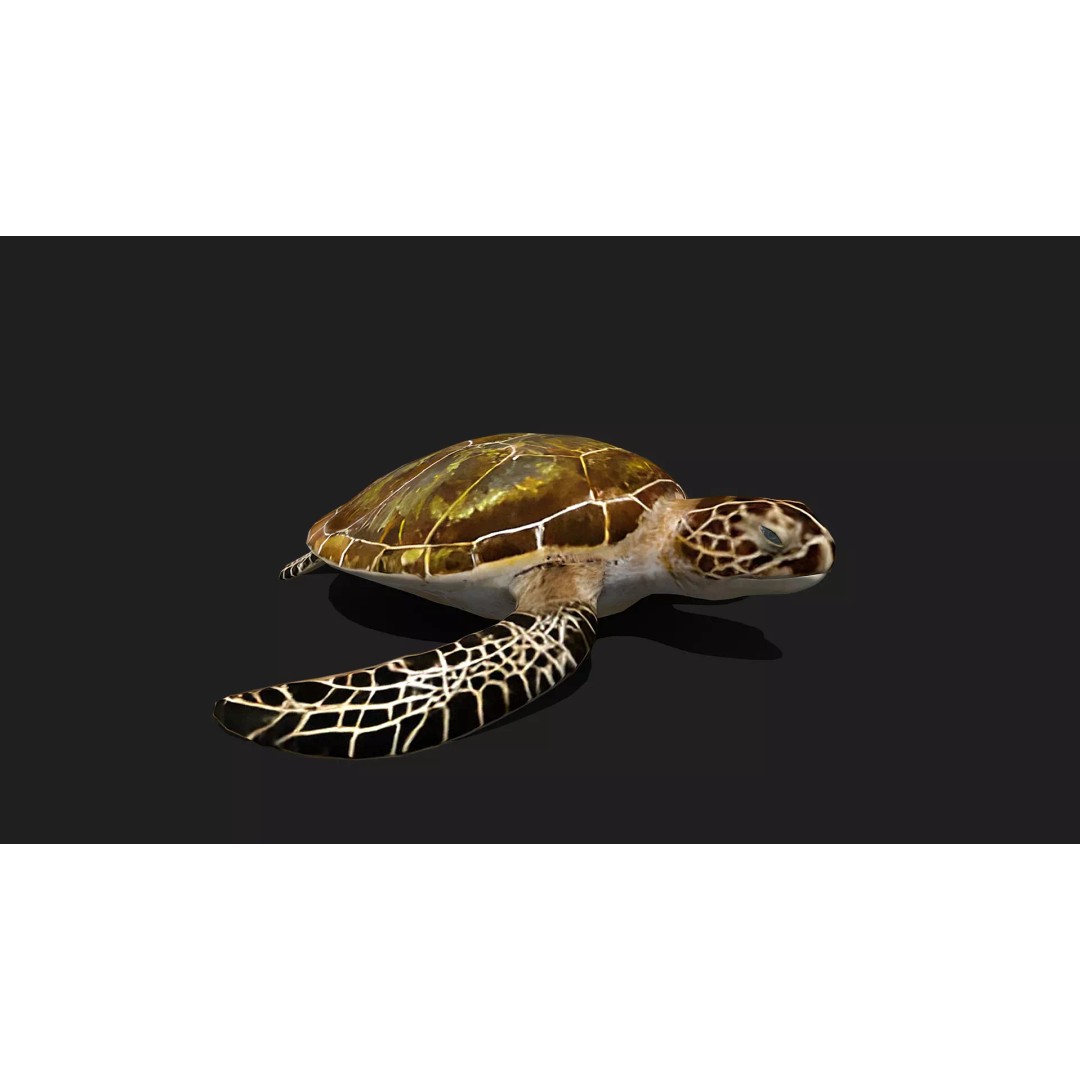 Ultimate Animal Mega Bundle 3D Model – Low Poly Rigged Animals, FBX, Blender - View 84