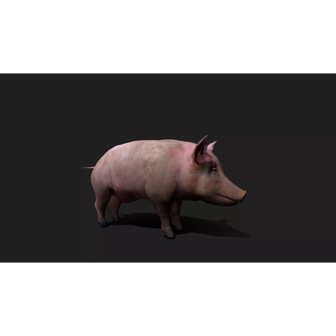 Ultimate Animal Mega Bundle 3D Model – Low Poly Rigged Animals, FBX, Blender - View 87