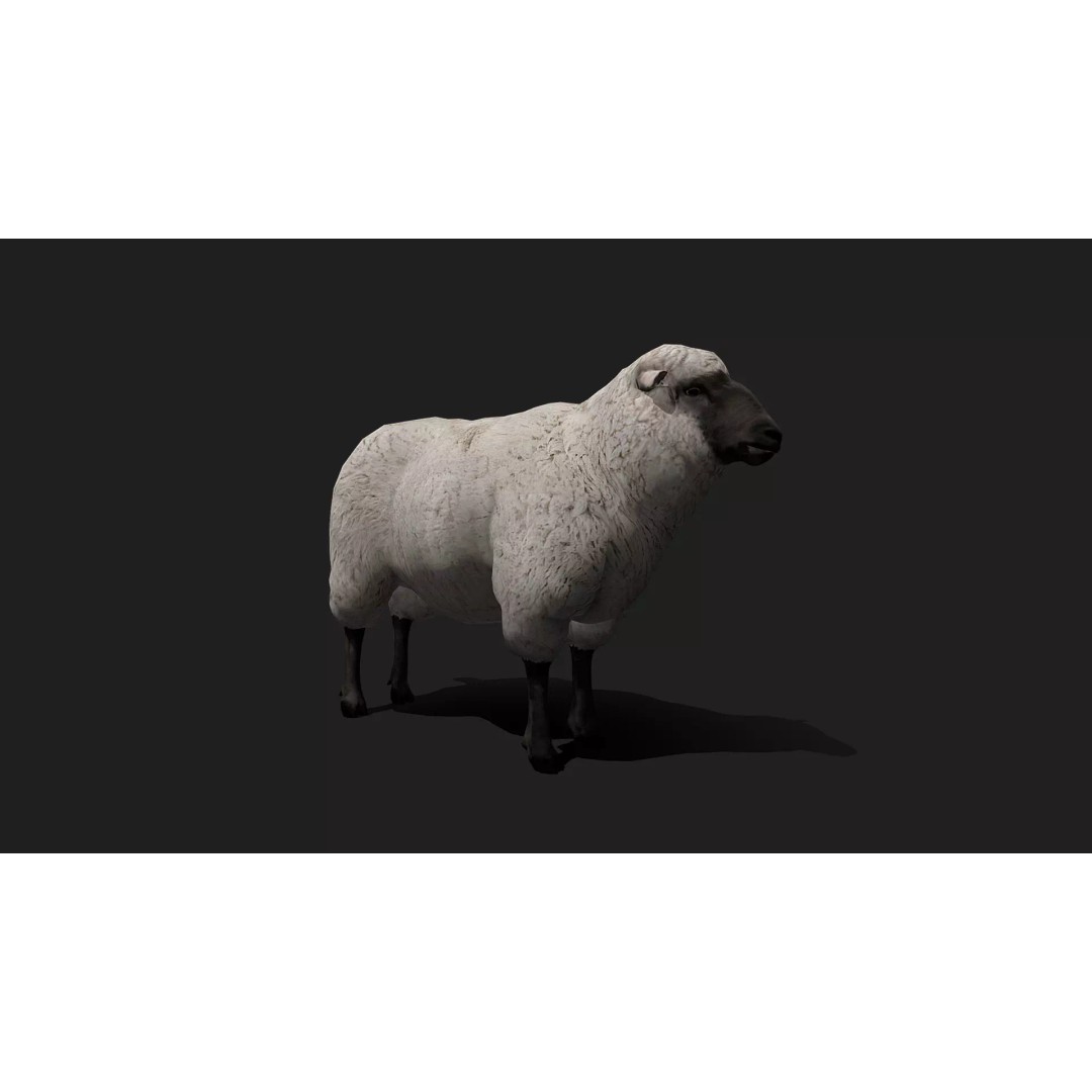 Ultimate Animal Mega Bundle 3D Model – Low Poly Rigged Animals, FBX, Blender - View 88