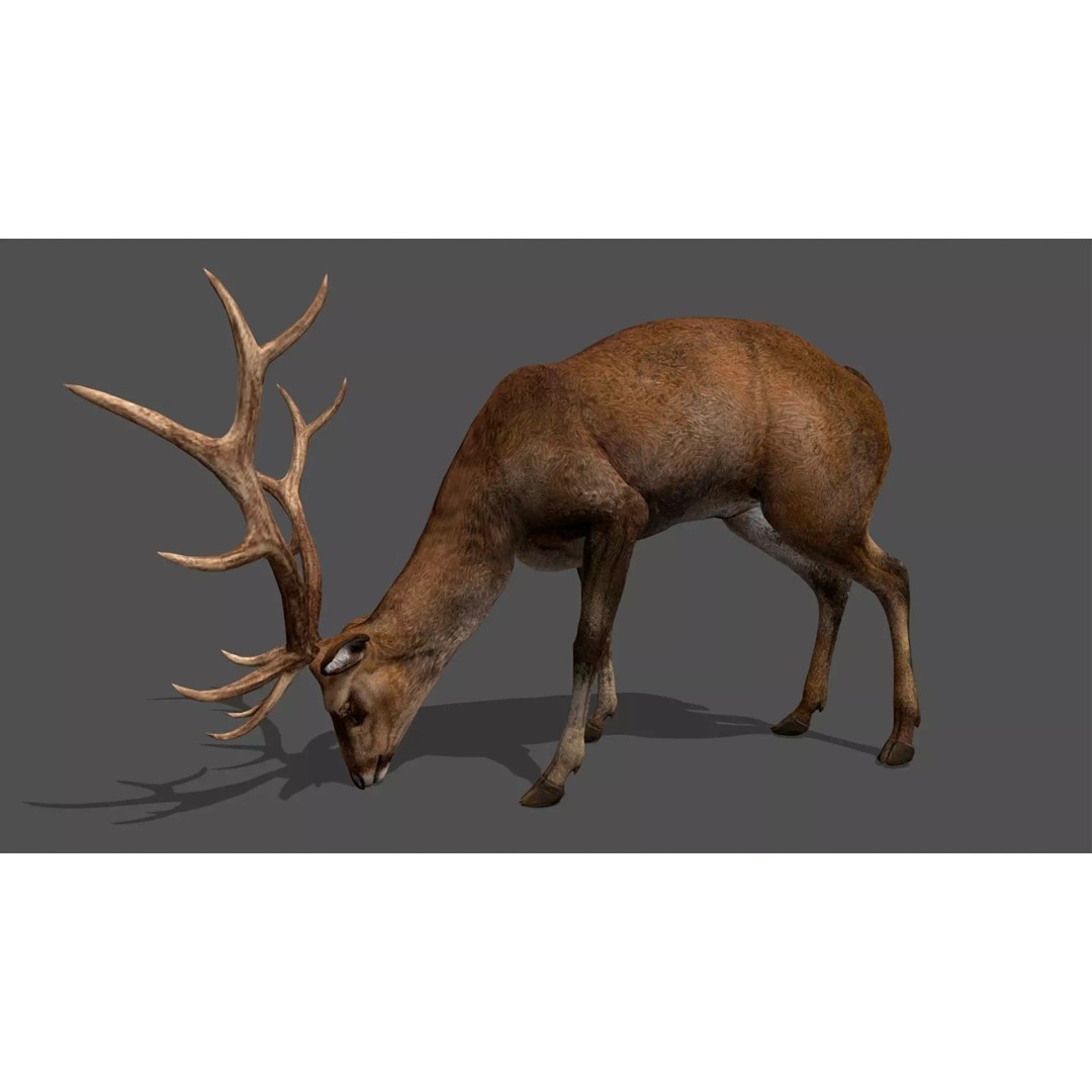 Ultimate Animal Mega Bundle 3D Model – Low Poly Rigged Animals, FBX, Blender - View 9